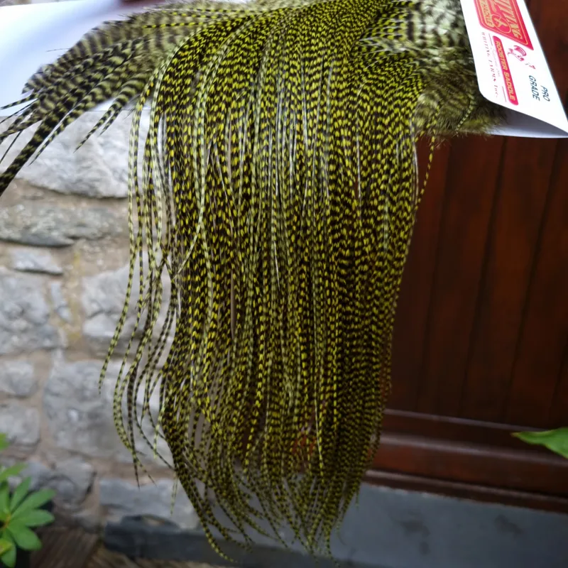 Whiting Pro-Grade Midge Rooster Saddle in Grizzly Dyed Olive B Approx tying size 14/16/18/20 AND some going 22/24 and OUT OF SIGHT-6