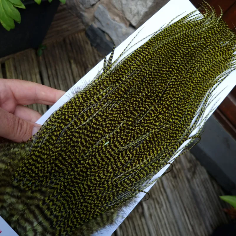 Whiting Pro-Grade Midge Rooster Saddle in Grizzly Dyed Olive B Approx tying size 14/16/18/20 AND some going 22/24 and OUT OF SIGHT-1