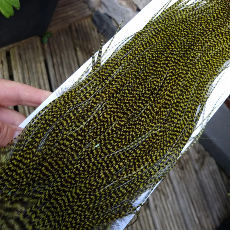 Whiting Pro-Grade Midge Rooster Saddle in Grizzly Dyed Olive B Approx tying size 14/16/18/20 AND some going 22/24 and OUT OF SIGHT