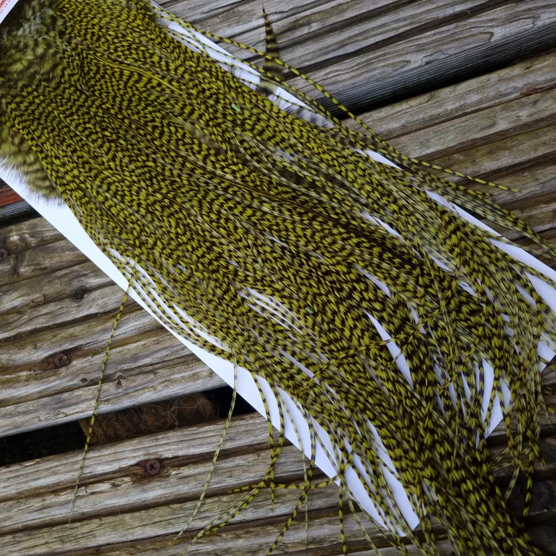 Whiting Pro-Grade Midge Rooster Saddle in Grizzly Dyed Olive C Approx Tying Sizes 14/16/18 and a few going smaller-1