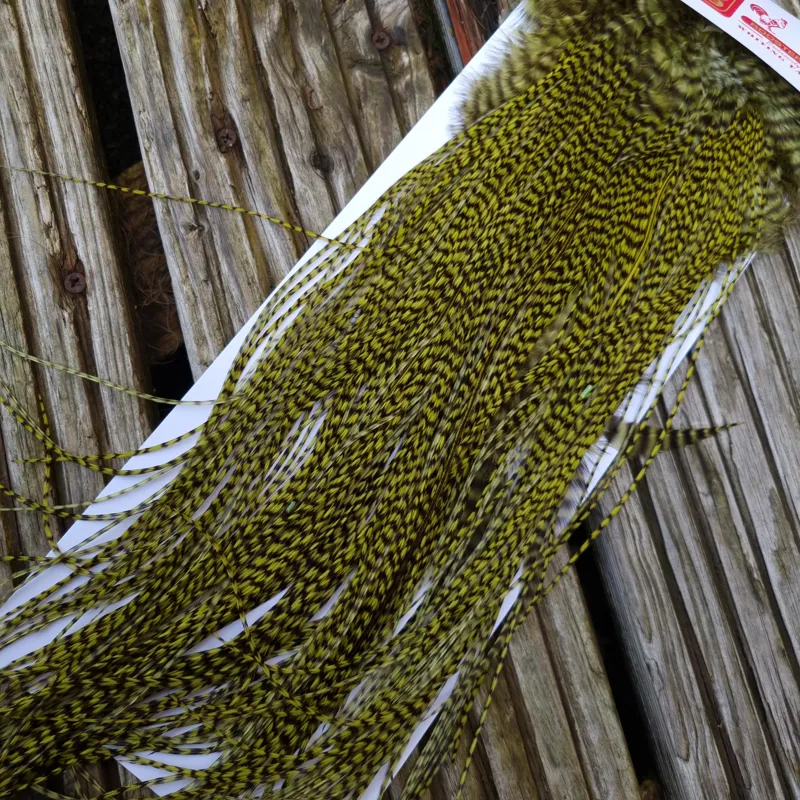 Whiting Pro-Grade Midge Rooster Saddle in Grizzly Dyed Olive C Approx Tying Sizes 14/16/18 and a few going smaller-3