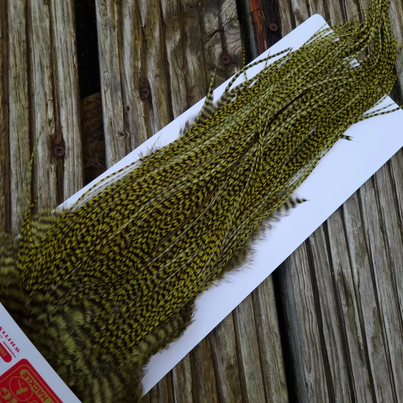 Whiting Pro-Grade Midge Rooster Saddle in Grizzly Dyed Olive C Approx Tying Sizes 14/16/18 and a few going smaller-6