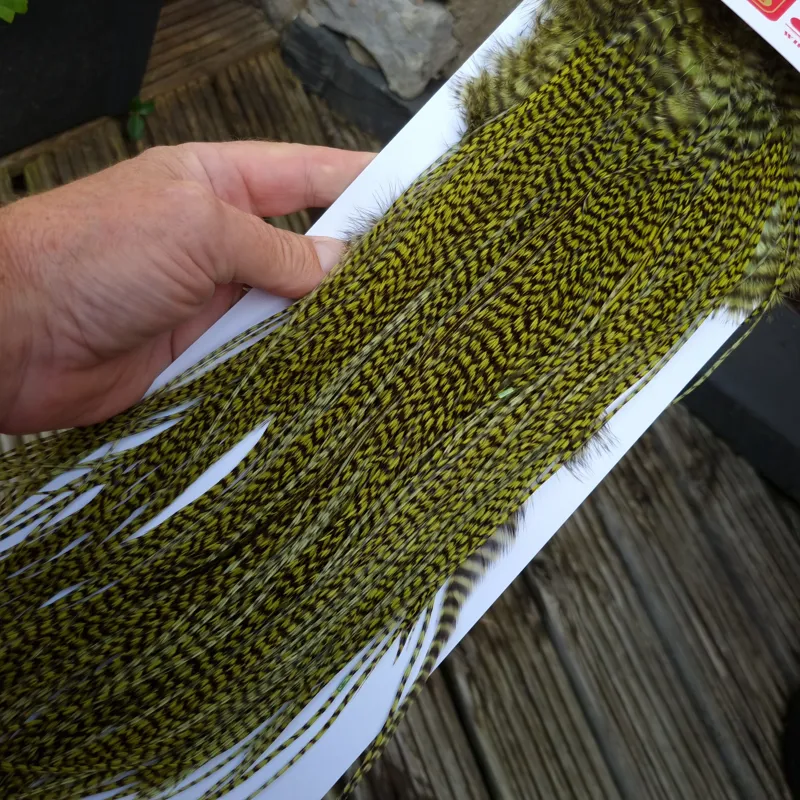Whiting Pro-Grade Midge Rooster Saddle in Grizzly Dyed Olive C Approx Tying Sizes 14/16/18 and a few going smaller-7