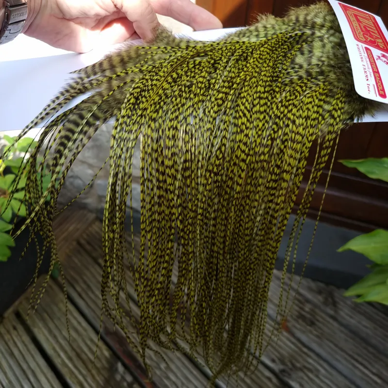 Whiting Pro-Grade Midge Rooster Saddle in Grizzly Dyed Olive C Approx Tying Sizes 14/16/18 and a few going smaller-2