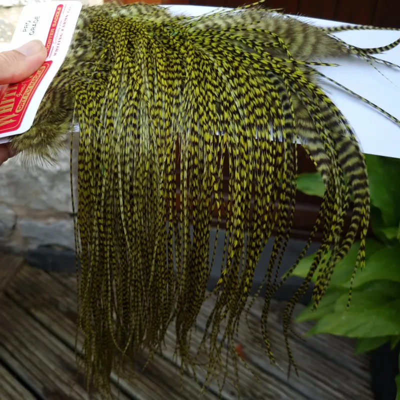 Whiting Pro-Grade Midge Rooster Saddle in Grizzly Dyed Olive C Approx Tying Sizes 14/16/18 and a few going smaller