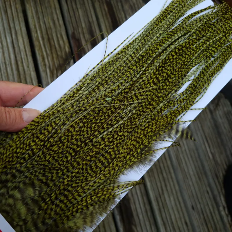 Whiting Pro-Grade Midge Rooster Saddle in Grizzly Dyed Olive C Approx Tying Sizes 14/16/18 and a few going smaller-5