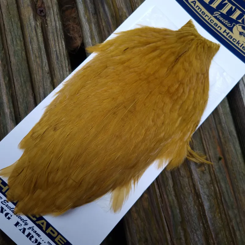 Whiting American Hen Cape in Golden Olive