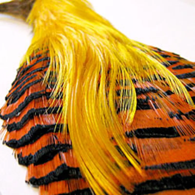 Grade No1 Golden Pheasant Head Grade-1