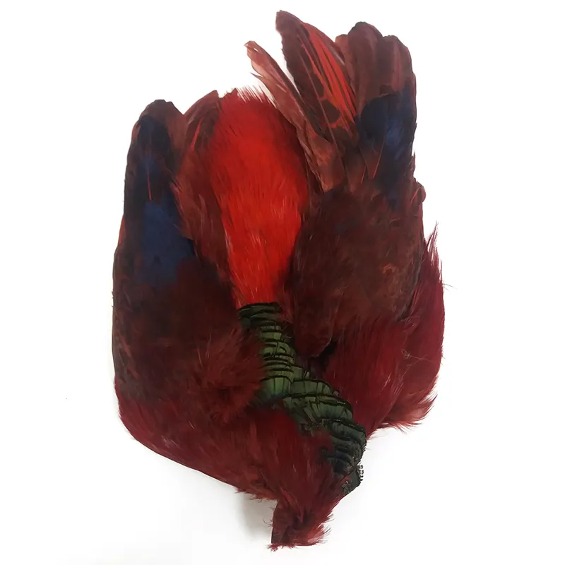 Dyed Golden Pheasant Body Skin-1