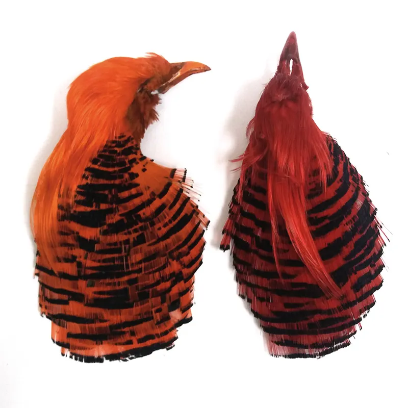 Grade No.1 Dyed Golden Pheasant Head