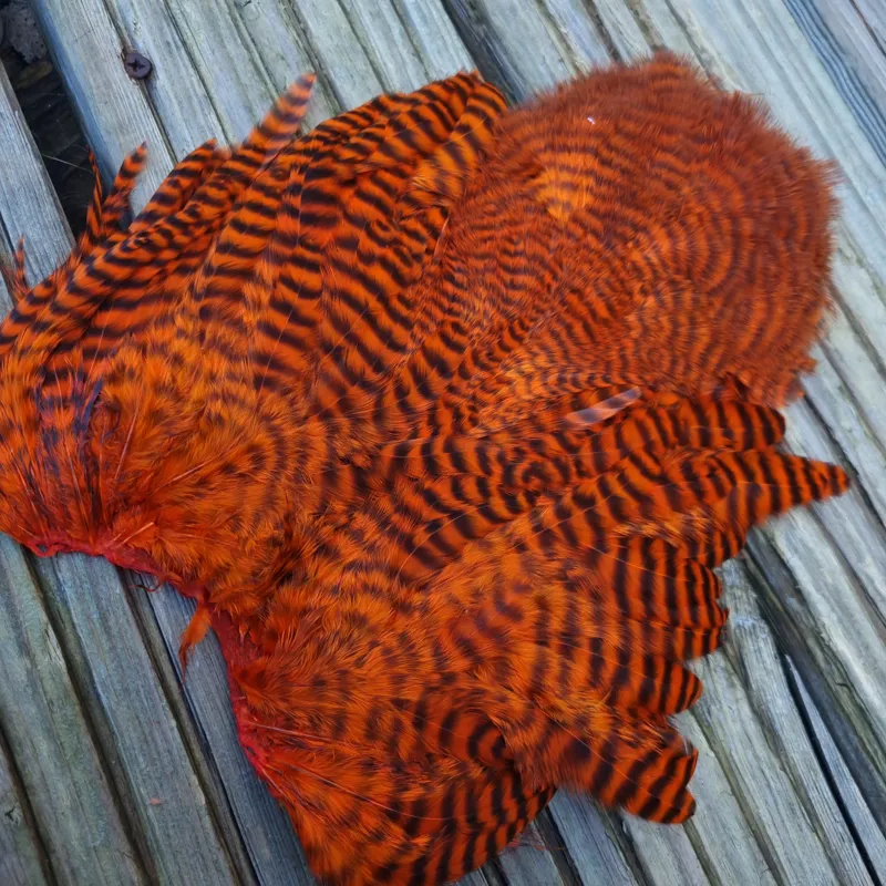 Whiting Rooster Soft Hackle with Chickabou in Grizzly Dyed Orange-1