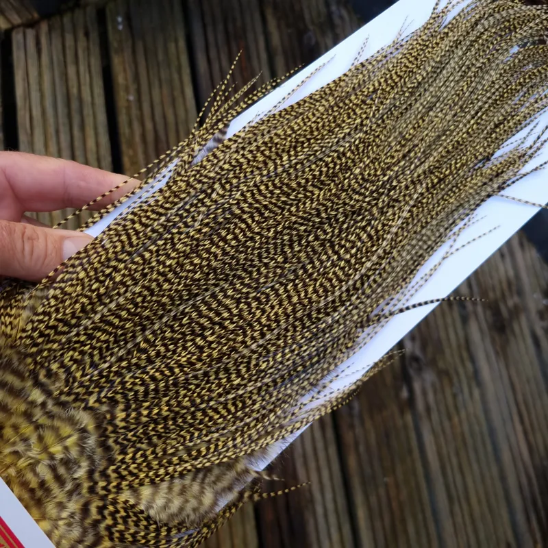 Whiting Pro-Grade Midge Rooster Saddle in Grizzly Dyed Pale Yellow B Approx Tying Size Few 14 and Stuffed with 16/18/20 with a few going Smaller-2
