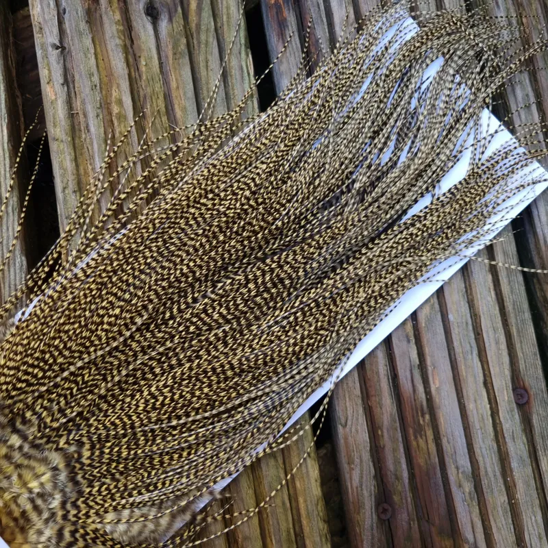 Whiting Pro-Grade Midge Rooster Saddle in Grizzly Dyed Pale Yellow B Approx Tying Size Few 14 and Stuffed with 16/18/20 with a few going Smaller-7