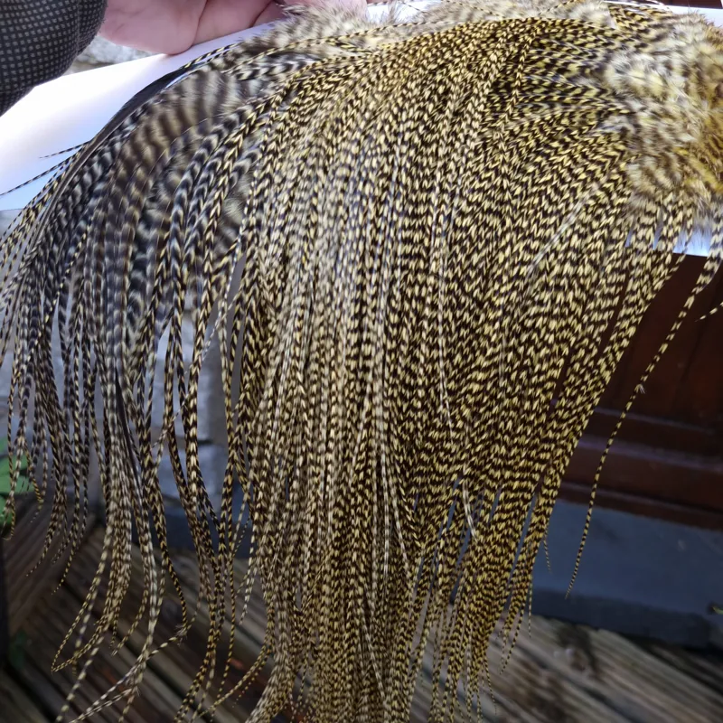 Whiting Pro-Grade Midge Rooster Saddle in Grizzly Dyed Pale Yellow B Approx Tying Size Few 14 and Stuffed with 16/18/20 with a few going Smaller