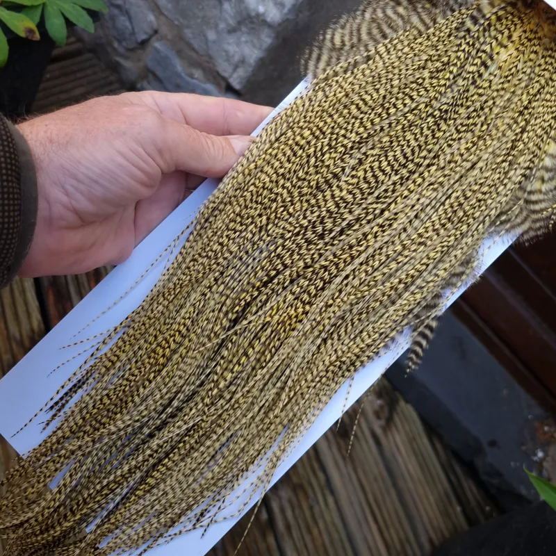 Whiting Pro-Grade Midge Rooster Saddle in Grizzly Dyed Pale Yellow C Approx Tying Size 14/16/18/20/22 some going smaller-4