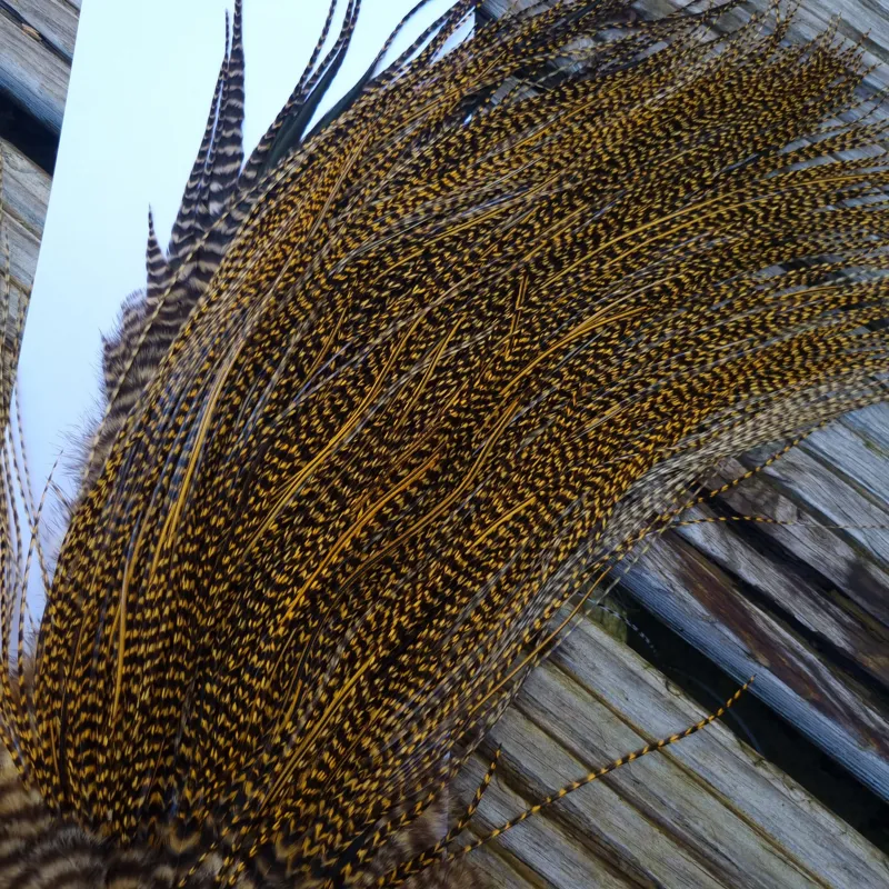 Whiting Pro-Grade Midge Rooster Saddle in Grizzly Golden Straw B Approx Tying Sizes 14/16/18/20/22/24 and out of sight-5