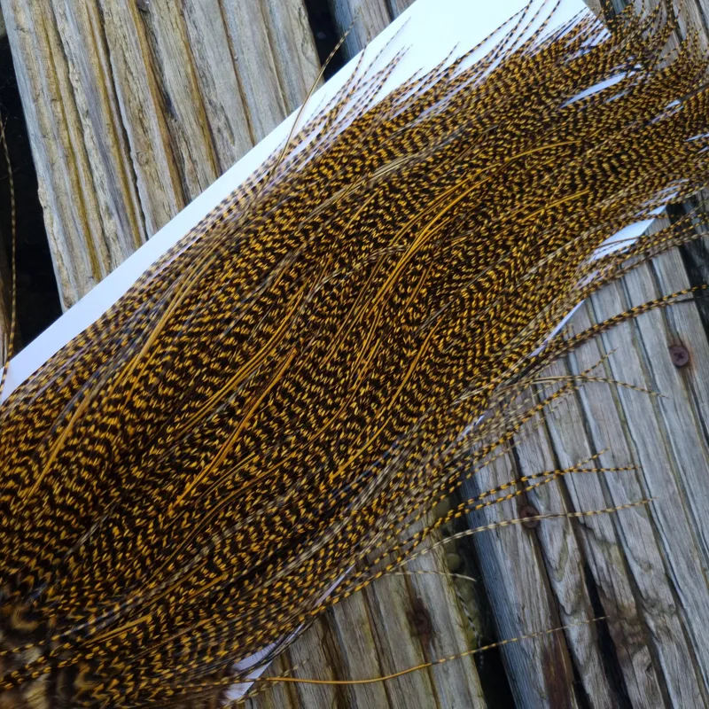 Whiting Pro-Grade Midge Rooster Saddle in Grizzly Golden Straw B Approx Tying Sizes 14/16/18/20/22/24 and out of sight-6
