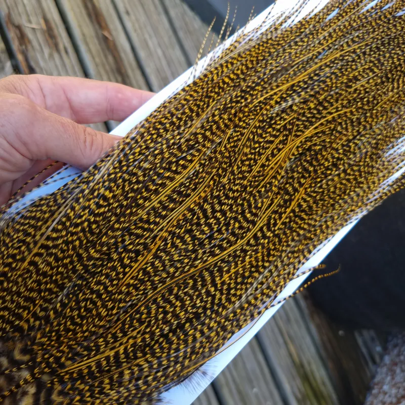 Whiting Pro-Grade Midge Rooster Saddle in Grizzly Golden Straw B Approx Tying Sizes 14/16/18/20/22/24 and out of sight-1
