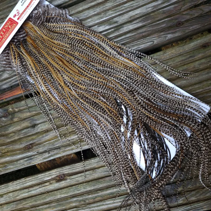 Whiting Pro-Grade Midge Rooster Saddle in Grizzly Variant A in Classic GRIZZLY Splashed with Golden Badger Hackles Approx Tying Sizes  14/16/18/20-4