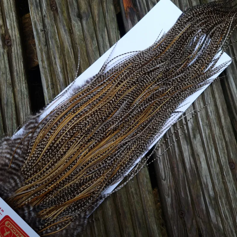 Whiting Pro-Grade Midge Rooster Saddle in Grizzly Variant A in Classic GRIZZLY Splashed with Golden Badger Hackles Approx Tying Sizes  14/16/18/20-7