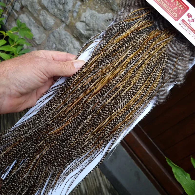 Whiting Pro-Grade Midge Rooster Saddle in Grizzly Variant A in Classic GRIZZLY Splashed with Golden Badger Hackles Approx Tying Sizes  14/16/18/20-8