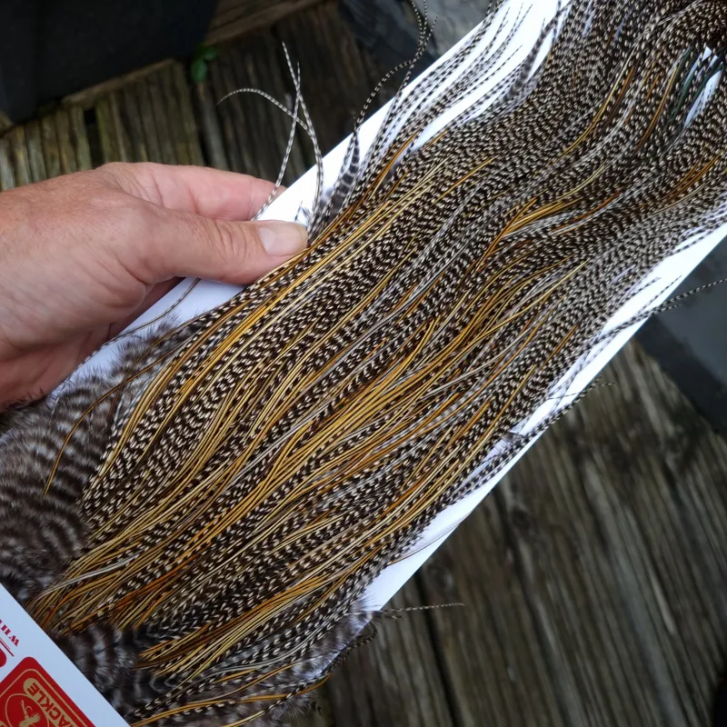 Whiting Pro-Grade Midge Rooster Saddle in Grizzly Variant A in Classic GRIZZLY Splashed with Golden Badger Hackles Approx Tying Sizes  14/16/18/20-3