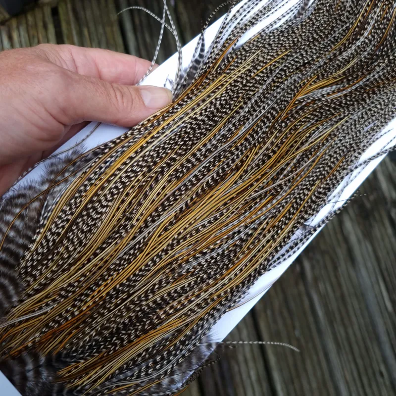 Whiting Pro-Grade Midge Rooster Saddle in Grizzly Variant A in Classic GRIZZLY Splashed with Golden Badger Hackles Approx Tying Sizes  14/16/18/20-1