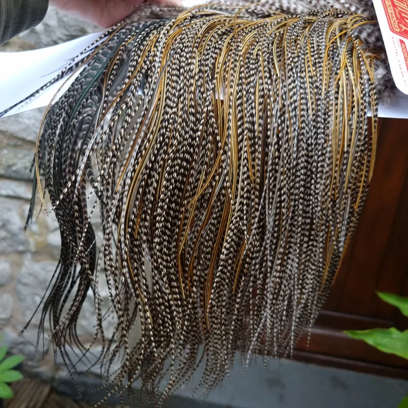 Whiting Pro-Grade Midge Rooster Saddle in Grizzly Variant A in Classic GRIZZLY Splashed with Golden Badger Hackles Approx Tying Sizes  14/16/18/20-2
