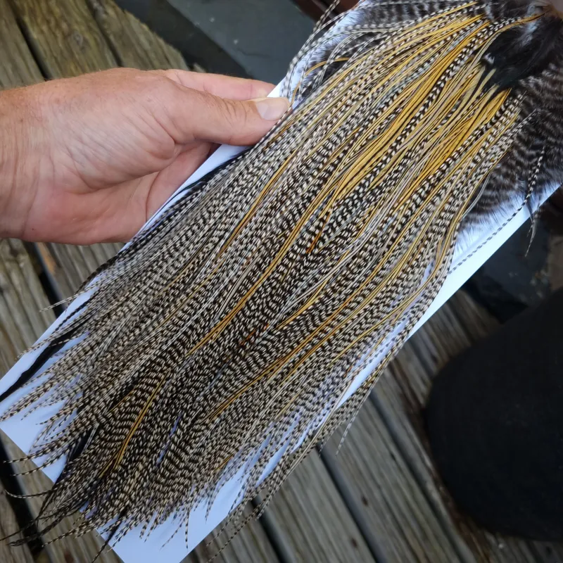 Whiting Pro-Grade Midge Rooster Saddle in Grizzly Variant A in Classic GRIZZLY Splashed with Golden Badger Hackles Approx Tying Sizes  14/16/18/20/22/24-1