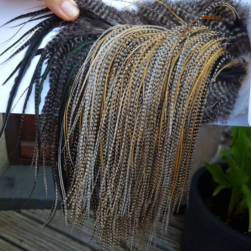 Whiting Pro-Grade Midge Rooster Saddle in Grizzly Variant A in Classic GRIZZLY Splashed with Golden Badger Hackles Approx Tying Sizes  14/16/18/20/22/24-5