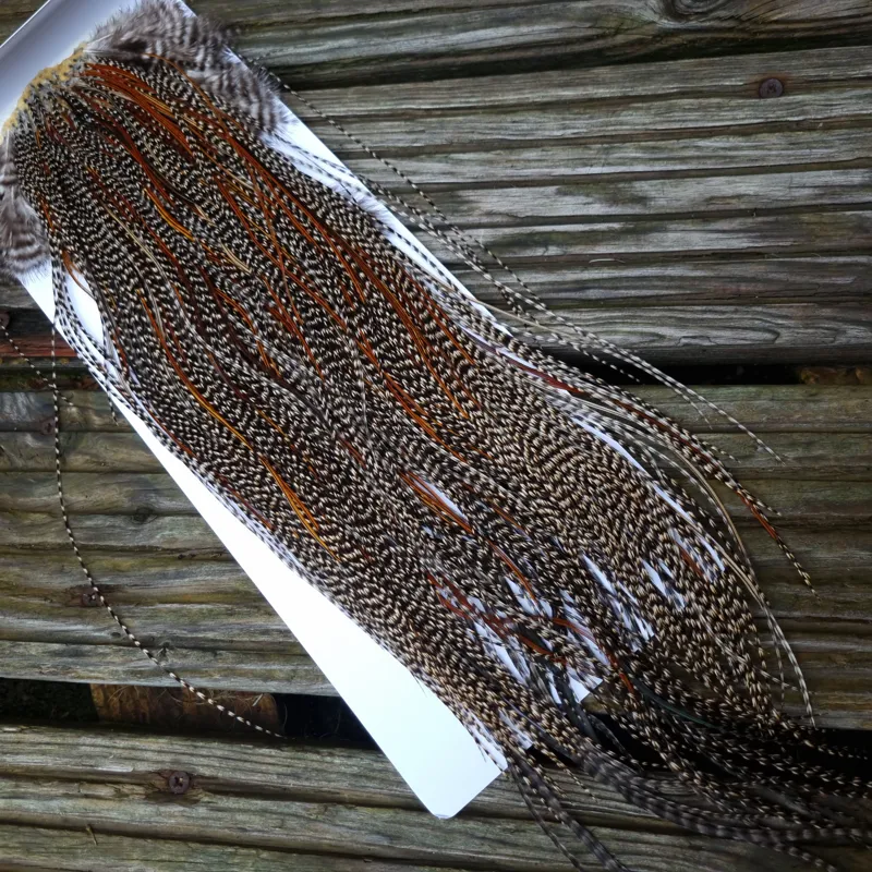 Whiting Pro-Grade Midge Rooster Saddle in Grizzly Variant B Dark Grizzly Splashed with Furnace/Red Game Hackles Approx Tying Sizes Few 14 and Stuffed with16/18/20/22 and out of sight-3