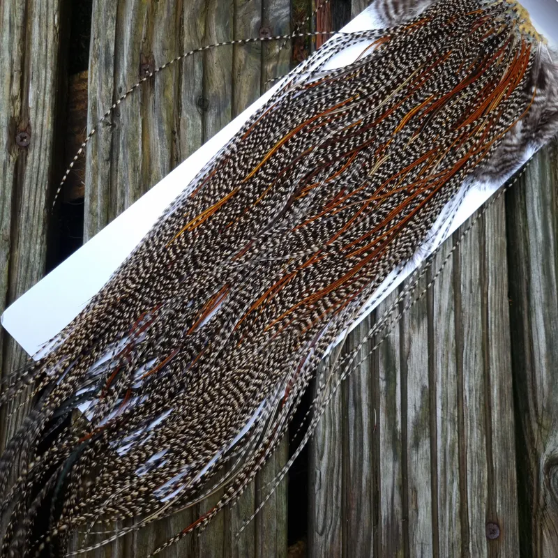 Whiting Pro-Grade Midge Rooster Saddle in Grizzly Variant B Dark Grizzly Splashed with Furnace/Red Game Hackles Approx Tying Sizes Few 14 and Stuffed with16/18/20/22 and out of sight-4