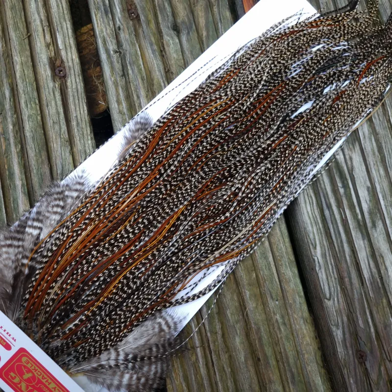 Whiting Pro-Grade Midge Rooster Saddle in Grizzly Variant B Dark Grizzly Splashed with Furnace/Red Game Hackles Approx Tying Sizes Few 14 and Stuffed with16/18/20/22 and out of sight-6