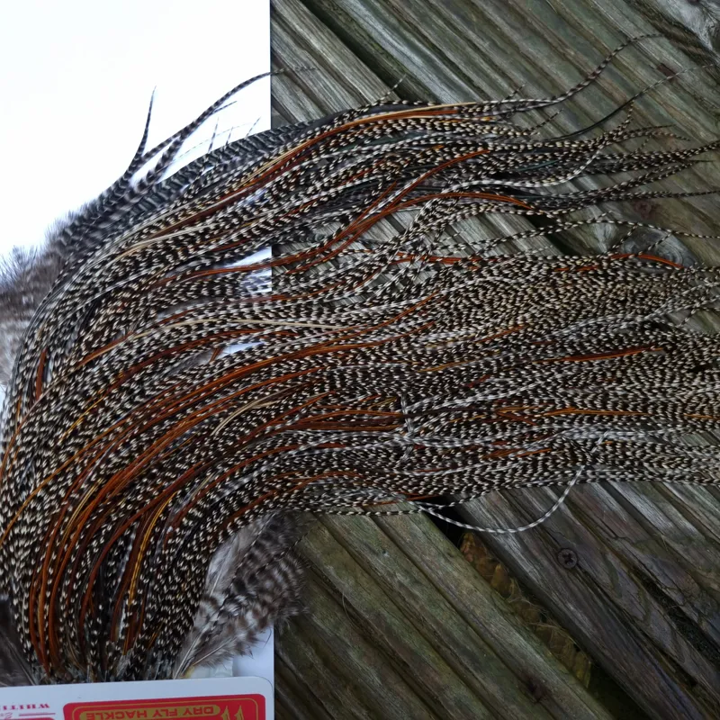 Whiting Pro-Grade Midge Rooster Saddle in Grizzly Variant B Dark Grizzly Splashed with Furnace/Red Game Hackles Approx Tying Sizes Few 14 and Stuffed with16/18/20/22 and out of sight-7