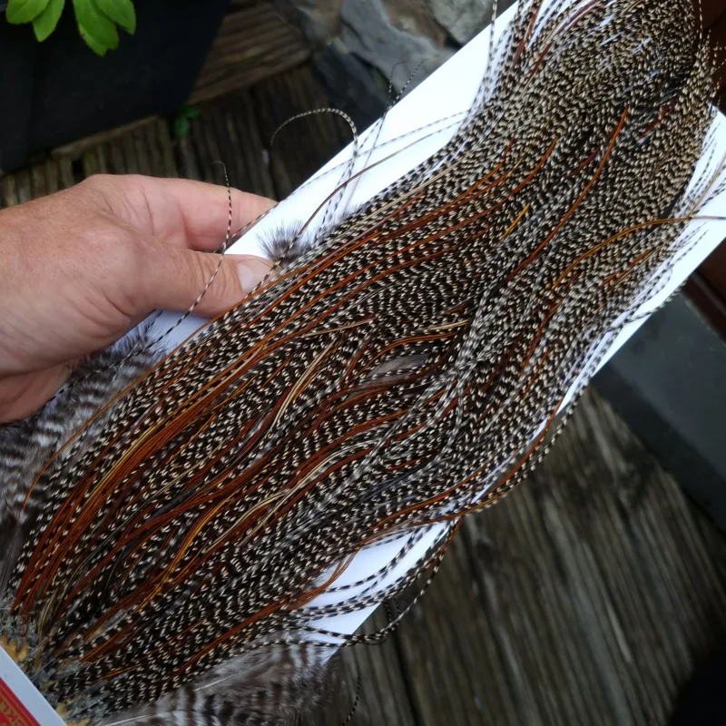 Whiting Pro-Grade Midge Rooster Saddle in Grizzly Variant B Dark Grizzly Splashed with Furnace/Red Game Hackles Approx Tying Sizes Few 14 and Stuffed with16/18/20/22 and out of sight-8