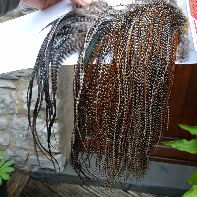Whiting Pro-Grade Midge Rooster Saddle in Grizzly Variant B Dark Grizzly Splashed with Furnace/Red Game Hackles Approx Tying Sizes Few 14 and Stuffed with16/18/20/22 and out of sight-5