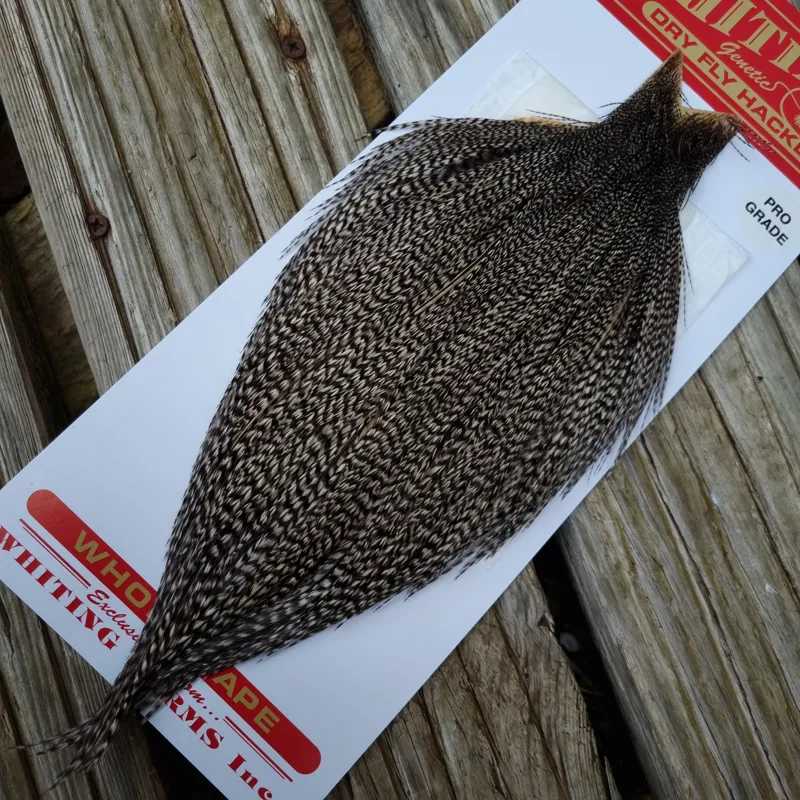 Whiting Pro-Grade Dry Fly Rooster Cape in Grizzly Variant B