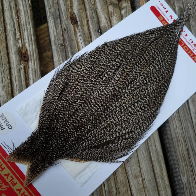 Whiting Pro-Grade Dry Fly Rooster Cape in Grizzly Variant B-1