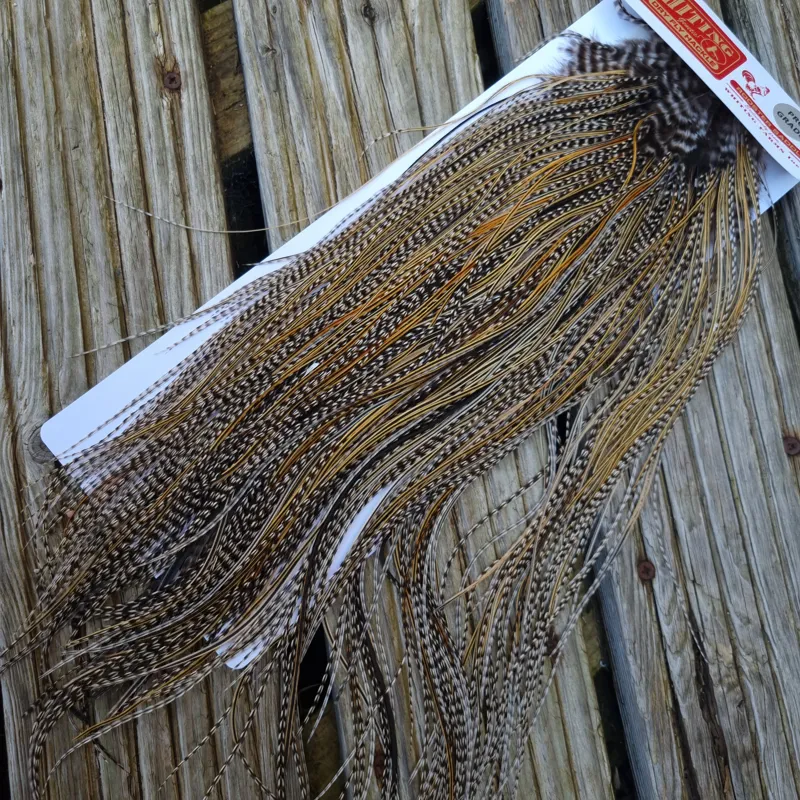Whiting Pro-Grade Midge Rooster Saddle in Grizzly Variant B Classic Grizzly Splashed with Golden Badger Approx Tying Sizes Few 14 and Stuffed with16/18/20/22 and a few smaller