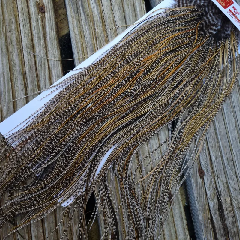 Whiting Pro-Grade Midge Rooster Saddle in Grizzly Variant B Classic Grizzly Splashed with Golden Badger Approx Tying Sizes Few 14 and Stuffed with16/18/20/22 and a few smaller-3