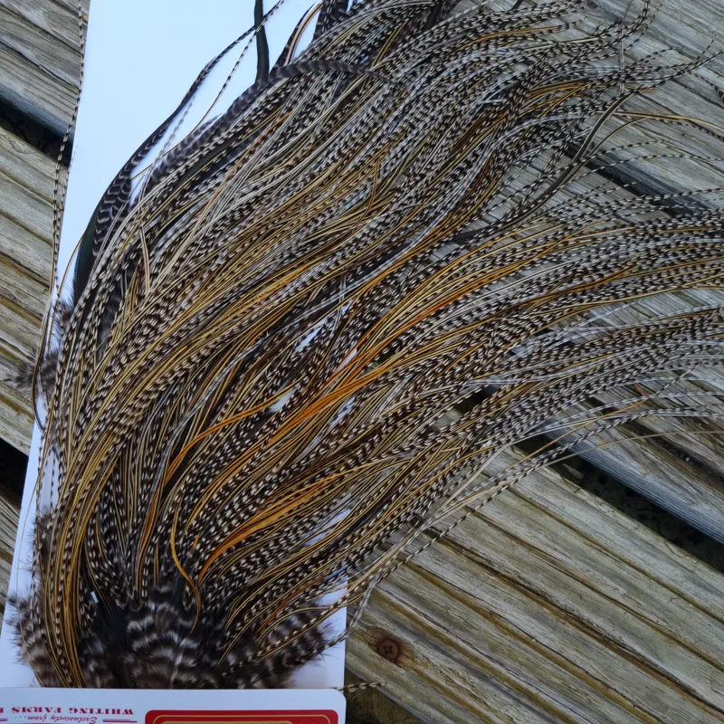 Whiting Pro-Grade Midge Rooster Saddle in Grizzly Variant B Classic Grizzly Splashed with Golden Badger Approx Tying Sizes Few 14 and Stuffed with16/18/20/22 and a few smaller-4