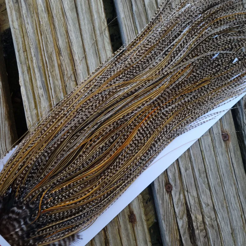 Whiting Pro-Grade Midge Rooster Saddle in Grizzly Variant B Classic Grizzly Splashed with Golden Badger Approx Tying Sizes Few 14 and Stuffed with16/18/20/22 and a few smaller-5