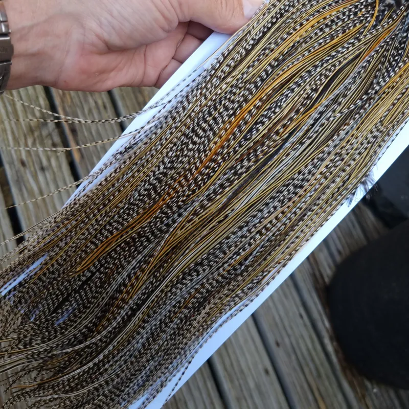 Whiting Pro-Grade Midge Rooster Saddle in Grizzly Variant B Classic Grizzly Splashed with Golden Badger Approx Tying Sizes Few 14 and Stuffed with16/18/20/22 and a few smaller-7