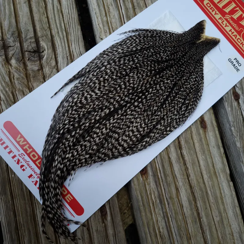 Whiting Pro-Grade Dry Fly Rooster Cape in Grizzly Variant C