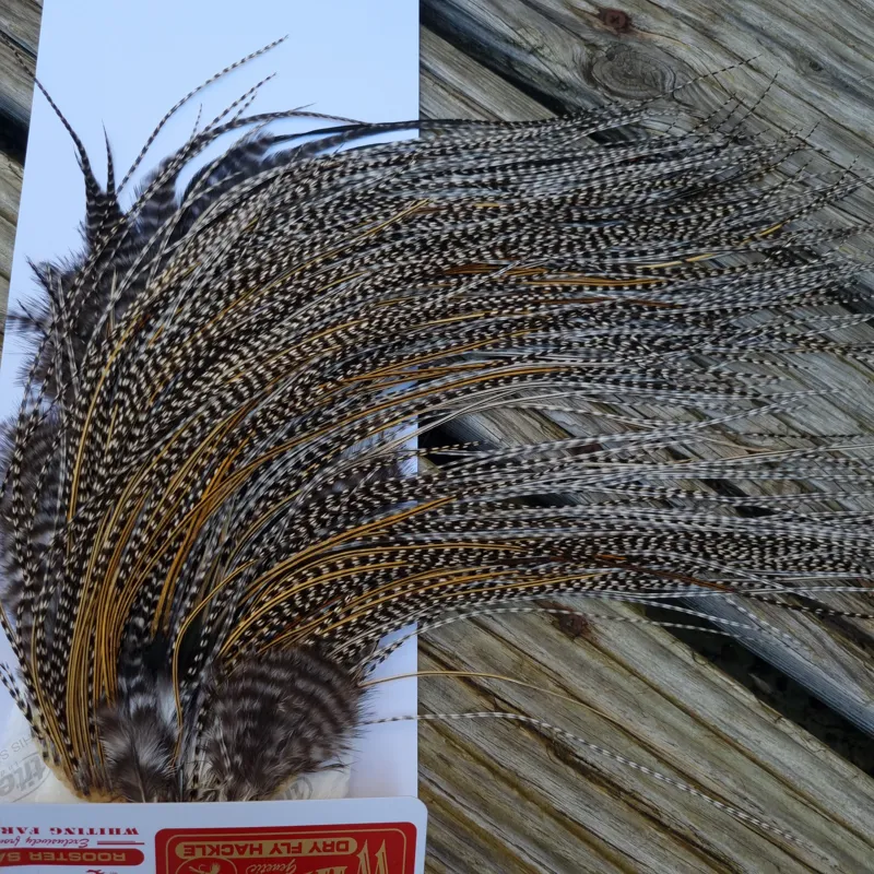 Whiting Pro-Grade Midge Rooster Saddle in Grizzly Variant C Classic Grizzly Lightly Splashed with Golden Badger Hackles Approx Tying Sizes  Few 14 stuffed with 16/18/20 and a few going smaller-2