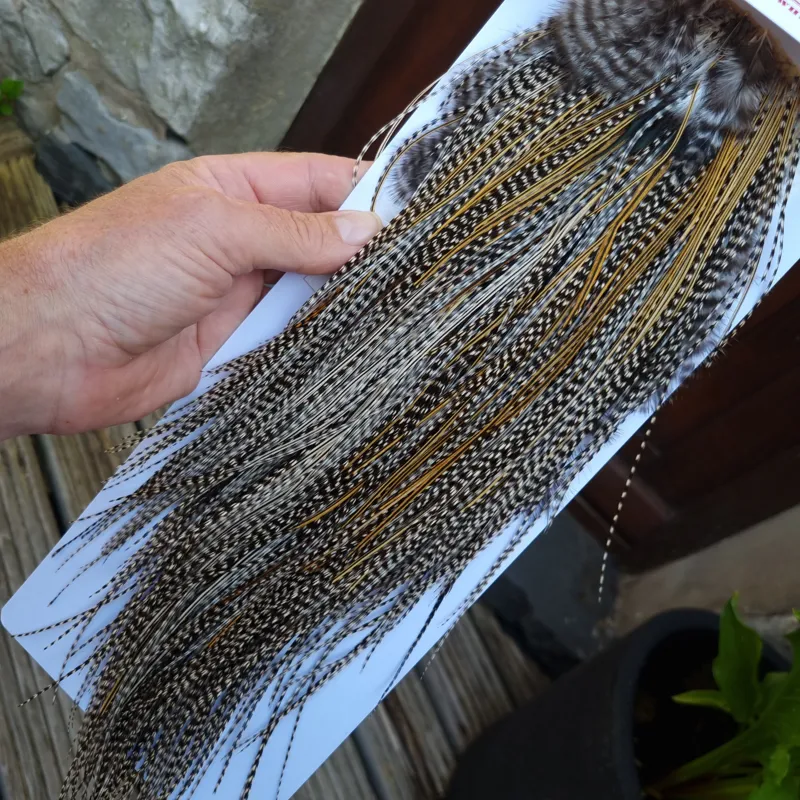 Whiting Pro-Grade Midge Rooster Saddle in Grizzly Variant C Classic Grizzly Lightly Splashed with Golden Badger Hackles Approx Tying Sizes  Few 14 stuffed with 16/18/20 and a few going smaller-4