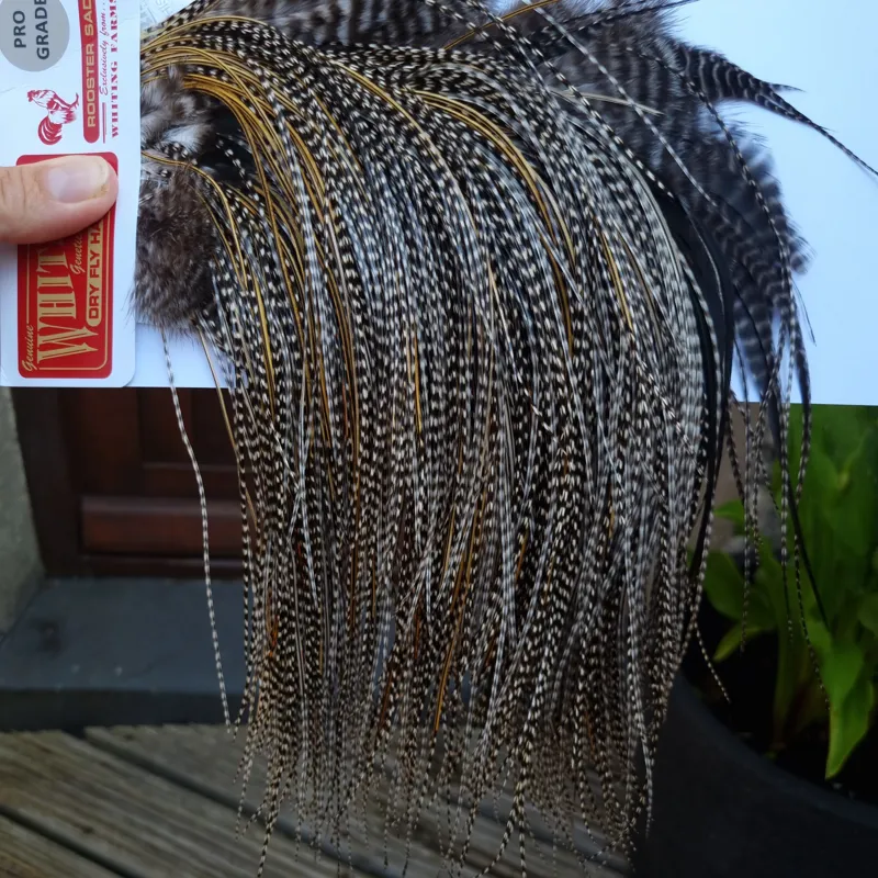 Whiting Pro-Grade Midge Rooster Saddle in Grizzly Variant C Classic Grizzly Lightly Splashed with Golden Badger Hackles Approx Tying Sizes  Few 14 stuffed with 16/18/20 and a few going smaller-1