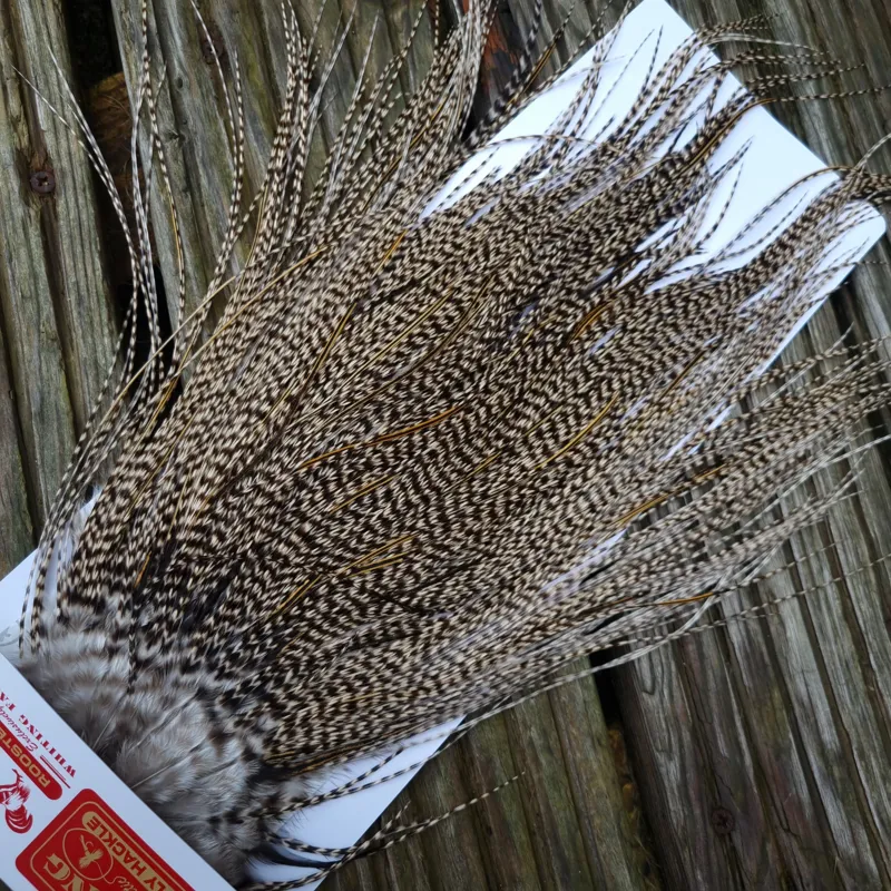Whiting Pro-Grade Midge Rooster Saddle in Grizzly Variant D Classic/Light Grizzly Lightly Splashed with GOLDEN Badger Approx Tying size 14/16/18/20-5