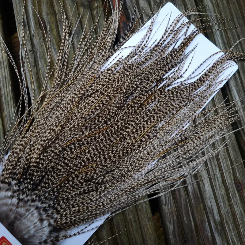 Whiting Pro-Grade Midge Rooster Saddle in Grizzly Variant D Classic/Light Grizzly Lightly Splashed with GOLDEN Badger Approx Tying size 14/16/18/20-8