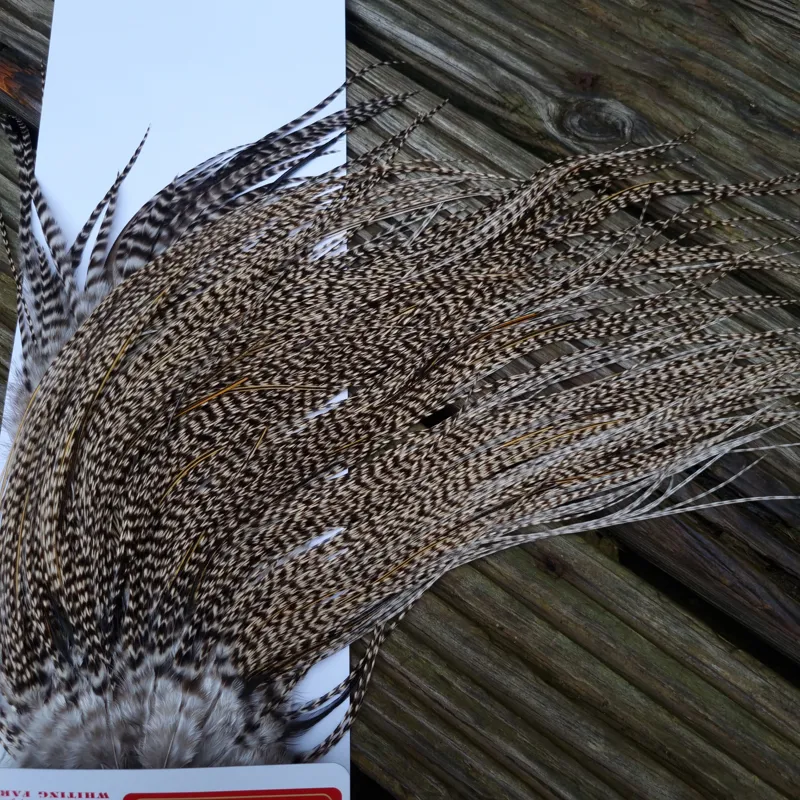 Whiting Pro-Grade Midge Rooster Saddle in Grizzly Variant D Classic/Light Grizzly Lightly Splashed with GOLDEN Badger Approx Tying size 14/16/18/20-9